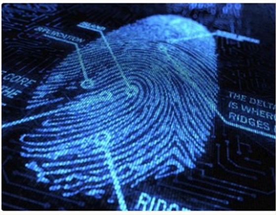 Raltron安全警報 Raltron安全警報