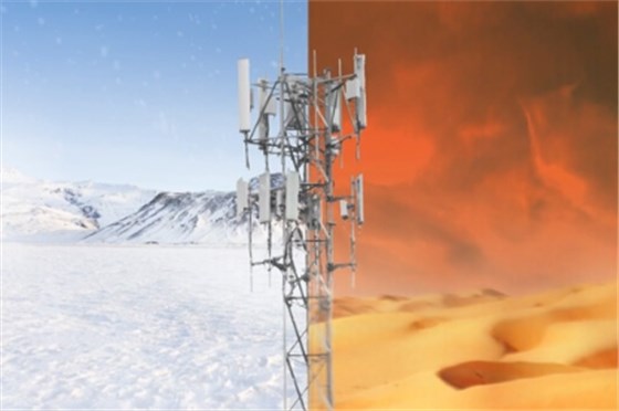 20241224100131 20241224100131